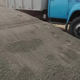 miti sement gum pulpa kerpic ş