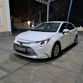 Toyota Corolla 2020