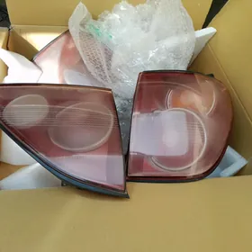RX 300 Stopnik