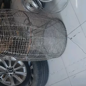 sewet balyk tutulyan