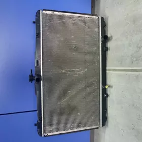 Radiator palta/aziada 2.5