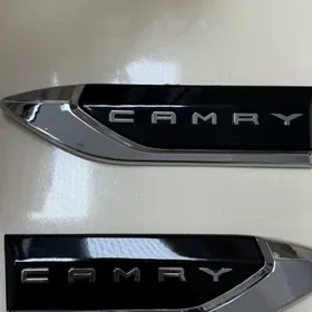 camry krlo gapy znacok