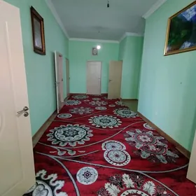 Taze zaman ️тазе заман