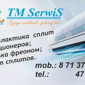 TMSERWIS: Профилактика кондиционеров