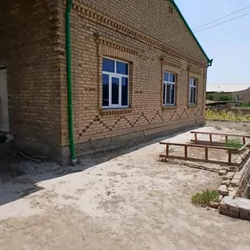 Satlyk jay Halaç/ pelwert