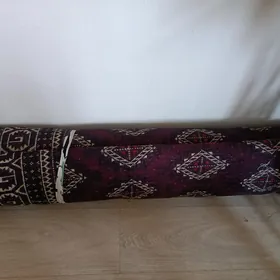 haly gokje gol