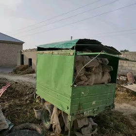 Gazyrowka butga