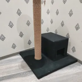 коктеточка