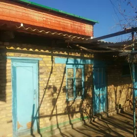 Satlyk Frunze koce