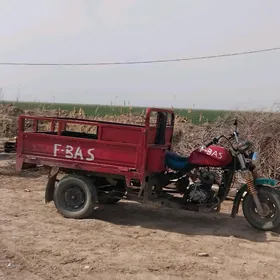 Fekon FK200-14G 2018