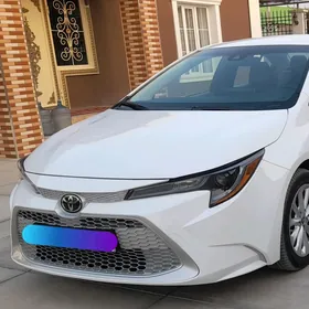 Toyota Corolla 2021