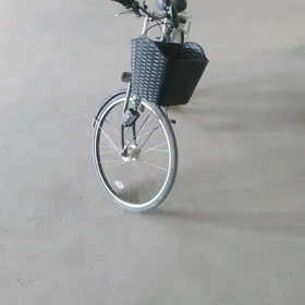 kitayski welik 26lyk