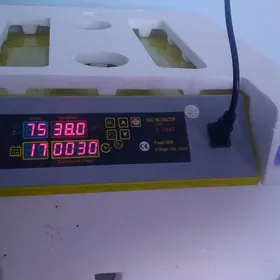 инкубатор inkubator