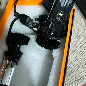 led