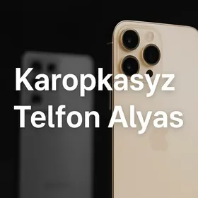 Karopkasyz AlyasA56 S25 16Pro