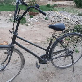 yaponiski velik 27