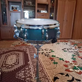 Udarnik