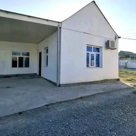 Petilit 12 sotka jay