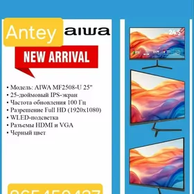 AIWA MONITOR 24.5