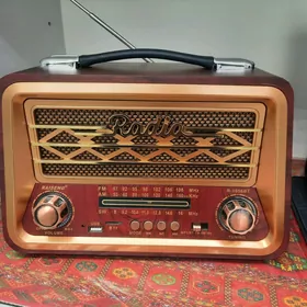 Radio kolonka (flesk cip Bluet