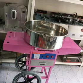 Pagta süji enjamy
