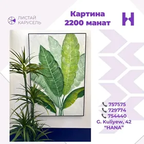 КАРТИНА