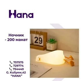 НОЧНИК