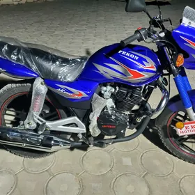 Fekon FK150-8G 2025