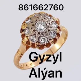 ️Gyzyl Kümüş Alýan️