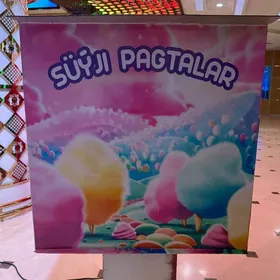 Pagta suyji aparat