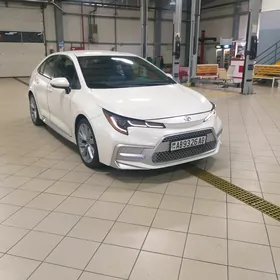 Toyota Corolla 2020
