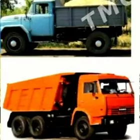 miti pulpa kerpic gum ders cag