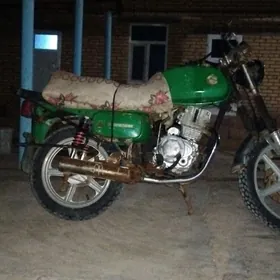 Fekon FK150-8G 2013