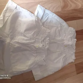 шорты