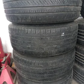 255-55-19 vitour