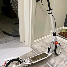 Sportivnyu samokat