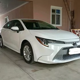 Toyota Camry 2020