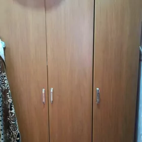 шифонер