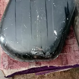 Бак жугули