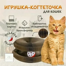 когтеточка