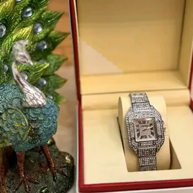 sagat cartier
