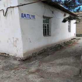 satlyk  jay
