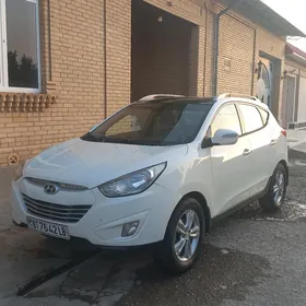 Hyundai Tucson 2010