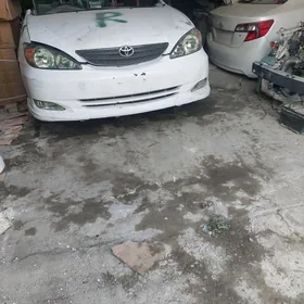Duty kemiri Halyjy