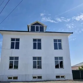 KOTEŹ AHAL KÖÇE