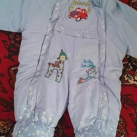 bodik