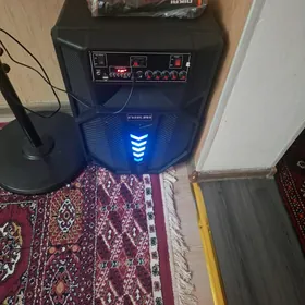 kalonko satlyk taze