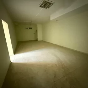 Arenda Padwal Mir8