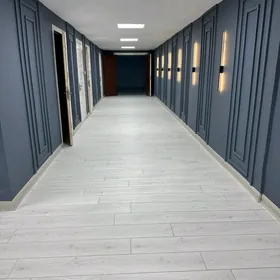 PODWOYSKI PODWAL ARENDA.