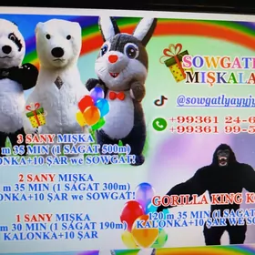 Anmator,mişka,panda,garila,aýy